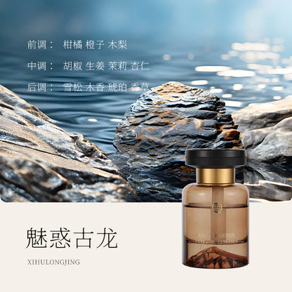 Hot Sale Long Lasting Eco-Friendly BPA Free Alcohol Free Private Label Floral Lavender Scent Reed Diffuser with Glass Oil